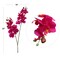 Set of 12 Vibrant 22&#x22; Fuchsia Phalaenopsis Orchids with 16 Flowers Each - Artificial Indoor/Outdoor Floral Decor for Home, Office, and Events
